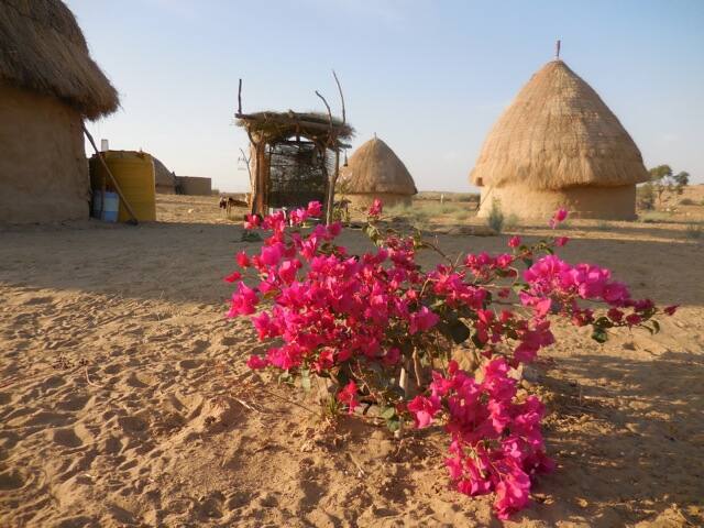 Green Arts Cottage, Jaisalmer 2